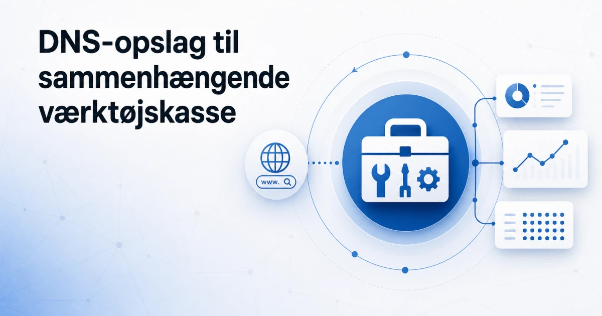Fra DNS-opslag til sammenhængende værktøjskasse: Udviklingen af DNSinfo